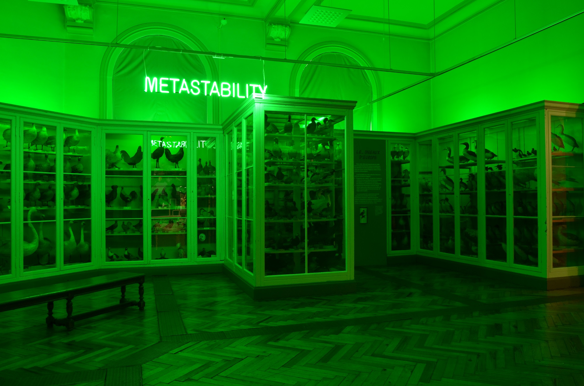 salle des oiseaux plongé dans une ambiance à la lumière verte avec un néon metastability
