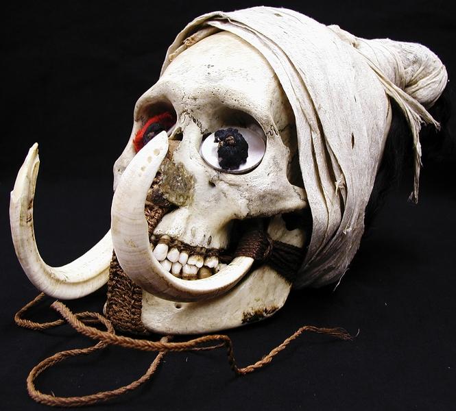 Crâne humain – Musées Occitanie